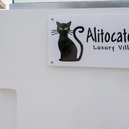 Villa Alitocatos Dhrapanias Экстерьер фото